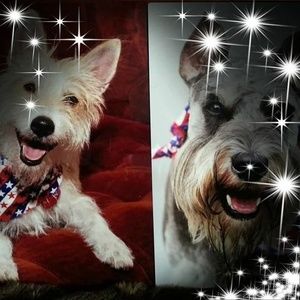 Meet your Posher, Robert